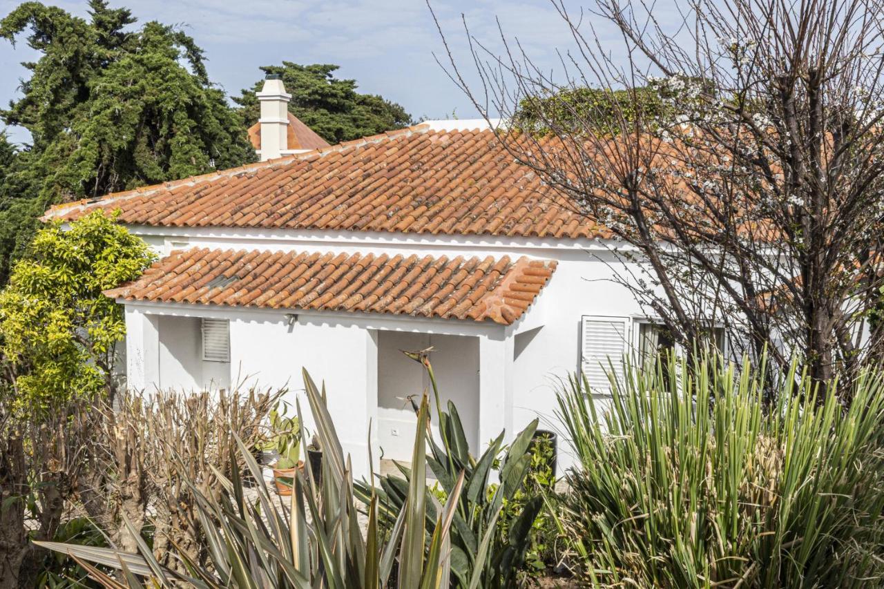 Estoril Contemporary Garden By Cadenzalux Villa *