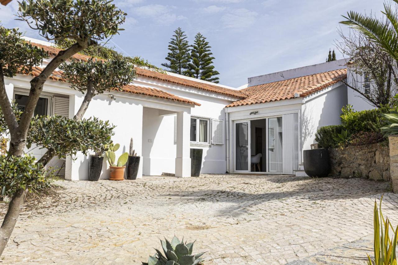 Estoril Contemporary Garden By Cadenzalux Villa Cascais