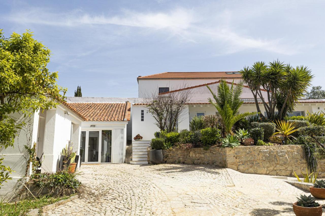 Villa Estoril Contemporary Garden By Cadenzalux *