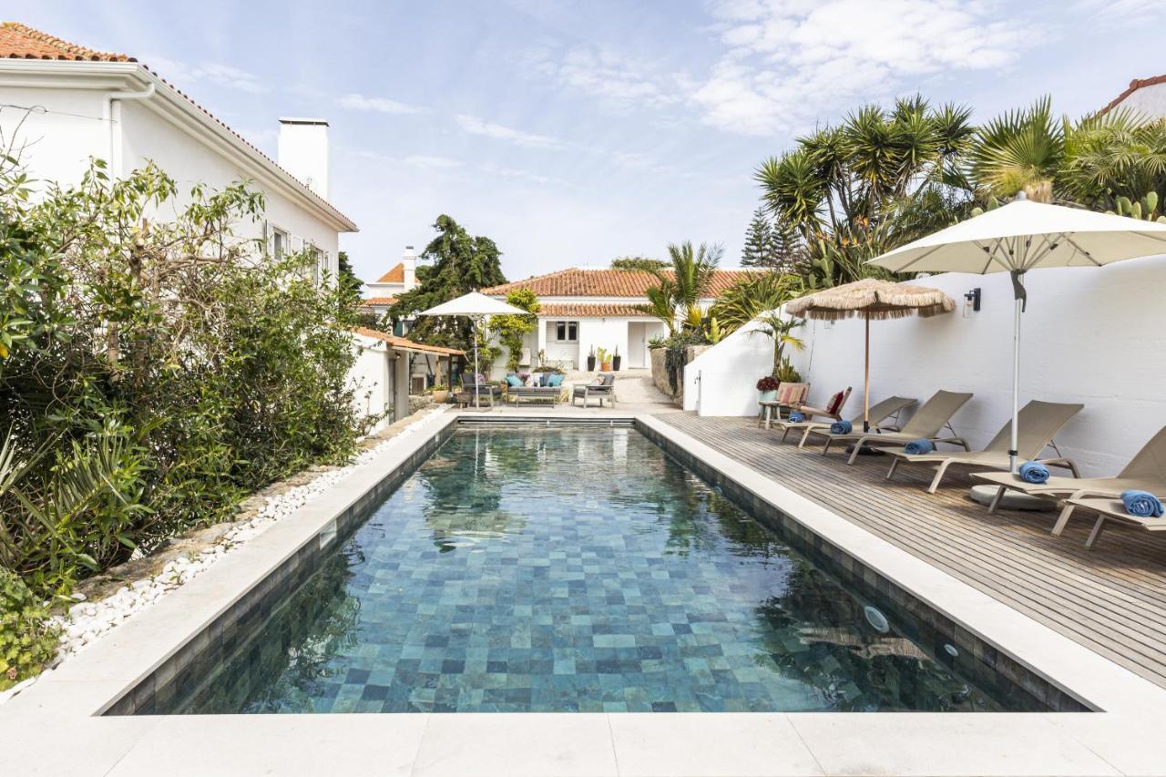 Estoril Contemporary Garden By Cadenzalux